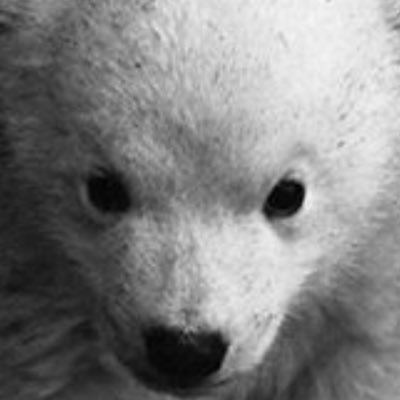 Profile Picture of Max Gower (@MaxGower10) on Twitter