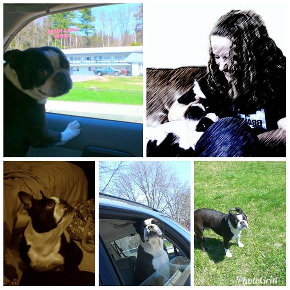 Profile Picture of Ellen Forkas (@dothan562) on Poshmark