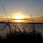 Profile Picture of Blake Harrell (@blake.harrell) on Instagram