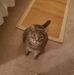 Profile Picture of Cathy Albert (@cathy.albert.144) on Facebook