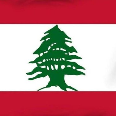 Profile Picture of Nour Harbieh (@harbieh_nour) on Twitter