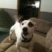 Profile Picture of Phyllis Caskey (@phylliscaskey) on Pinterest