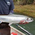 Profile Picture of Jeremy Knowlton (@knowltonjeremy) on Instagram