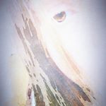 Profile Picture of Josephine kleinschmidt (@phienchen_06) on Instagram