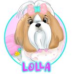 Profile Picture of Lolla - shih-tzu europeu (@mypetlolla) on Instagram
