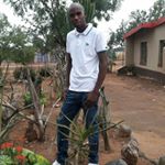 Profile Picture of Ronald (@ronluks) on Instagram