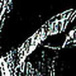 Profile Picture of Belén Droguett Sandoval (@belén droguett) on Flickr