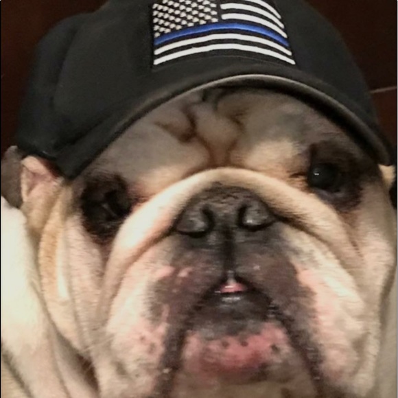 Profile Picture of Douglas Pinelli (@pinelli714) on Poshmark