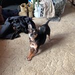 Profile Picture of Nancy (@nancy_l_ratliff) on Instagram