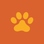 Profile Picture of Para Perros | juegos interactivos y chapitas de identificación (@paraperros.arg) on Instagram