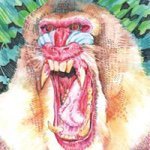 Mnkyvision By Mark Hooley - Instagram Profile Picture of Mnkyvision By Mark Hooley (@enarmot32) on Instagram