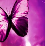 Profile Picture of Cutshaw Shannon (@cutshaw.shannon) on Facebook