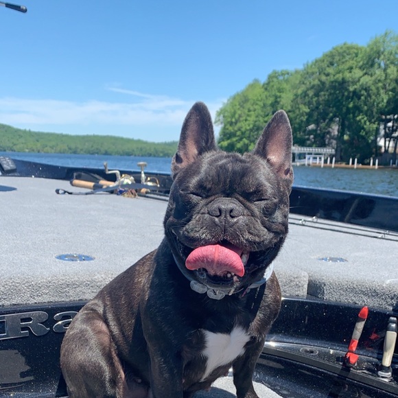 Profile Picture of James Frollo (@frollo952) on Poshmark