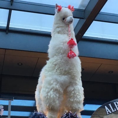 Profile Picture of Yh.... Hi (@mark_lapidus) on Twitter