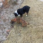 Profile Picture of Jaecheong Lee (@jaecheong) on Instagram