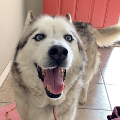 Caleb Wesley - Twitter Profile Picture of Caleb Wesley (@calebwesley17) on Twitter