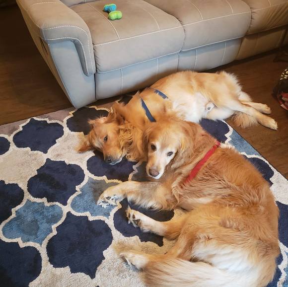 Profile Picture of Patrick Blakeslee (@redfordny23) on Poshmark