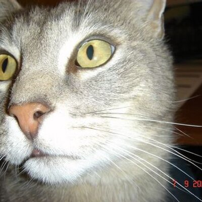 Profile Picture of Mike Goody (@mgoody) on Twitter