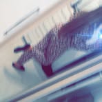 Profile Picture of Ruby Holiday (@Ruby-Holiday) on Facebook