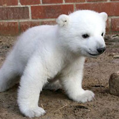 Profile Picture of Divina Castro (@divinacas2) on Twitter