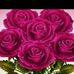 Profile Picture of Sarah Nestor (@sarah.nestor.9887) on Facebook