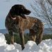 Profile Picture of Thomas Carper (@noz34me) on Pinterest