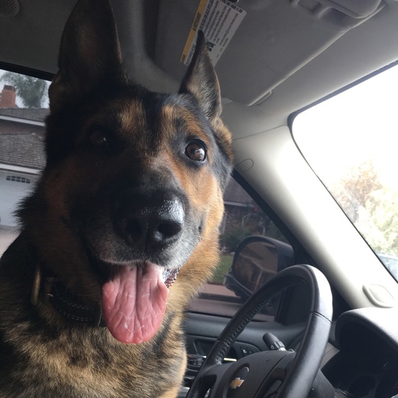 Profile Picture of Jessica Vadala (@jvadala070) on Poshmark