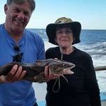 Profile Picture of Pam Saunders (@pam.saunders.58) on Instagram