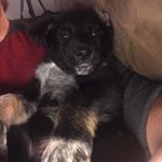 Profile Picture of Aaron David (@aaron_risner) on Instagram
