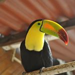 Profile Picture of Nicolai karlsen (@offical_cac) on Instagram