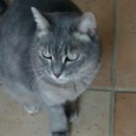 Profile Picture of Anne Couture (@annecouturecreative) on Instagram