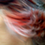 Profile Picture of Agloriadovulgar (@agloriadovulgar) on Flickr