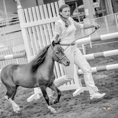 Profile Picture of Farm Absolue Royal (@HelickeLea) on Twitter