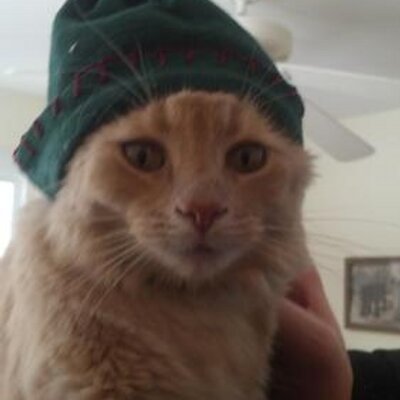 James Louks - Twitter Profile Picture of James Louks (@jameslouks) on Twitter