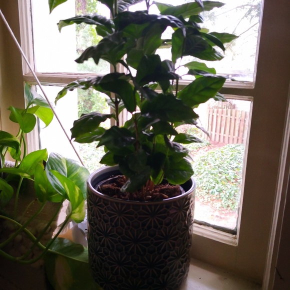 Profile Picture of Areal Bell (@ms_bell19) on Poshmark