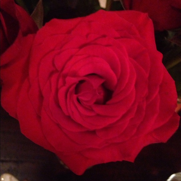 Julie Rispoli - Poshmark Profile Picture of Julie Rispoli (@jules107) on Poshmark