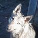 Profile Picture of Larry Unruh (@larryunruh01) on Pinterest