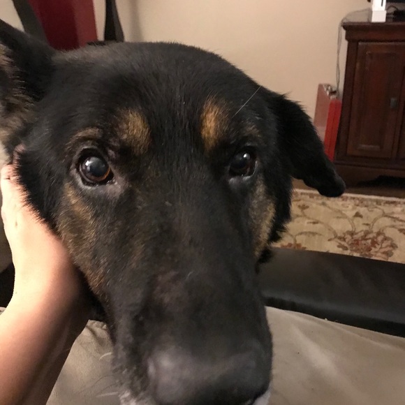 Cherie Craig - Poshmark Profile Picture of Cherie Craig (@cherieacraig) on Poshmark