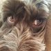 Profile Picture of John Whiting (@john.whiting.359) on Facebook