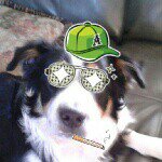 Profile Picture of buggzie doug (@nathanrichardhill) on Instagram