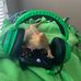 Profile Picture of Phillip Austin Seabolt (@hdty.budum.7) on Facebook