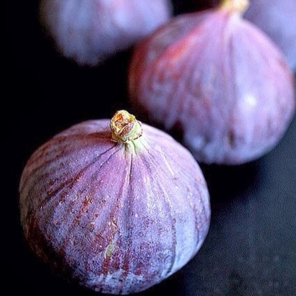 Profile Picture of Eli Rodriguez (@elirod07) on Poshmark