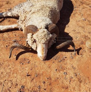 Profile Picture of Dwayne Woolley (@dwayne.woolley.1) on Facebook