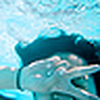 Profile Picture of librodo_ (@librodo_) on Flickr