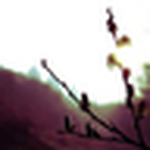 Profile Picture of Patrick O'shea (@paddyshea - shape photography) on Flickr