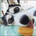 Profile Picture of Kerry Zachar (@kerrybryne) on Pinterest
