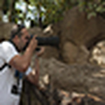 Profile Picture of Juan Antonio Ruiz Novo (@ruiznovo) on Flickr