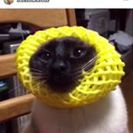 Profile Picture of Nathan Heidrich (@heidrich__) on Instagram