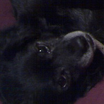 Profile Picture of Julia Maruz (@_ julia martinez _) on Flickr