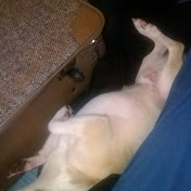 Profile Picture of Jeff Trahan (@jefftrahan7842) on Youtube